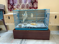 Sai Pets gallery image